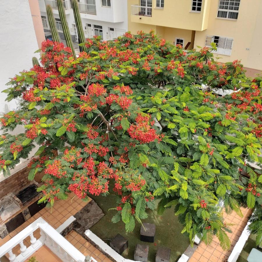 بيت شباب Corralejo Garden&Relax المظهر الخارجي الصورة